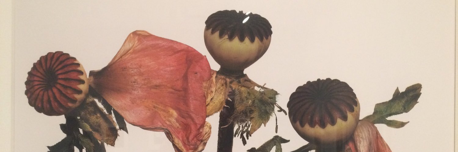 SEANSCASA's profile banner image
