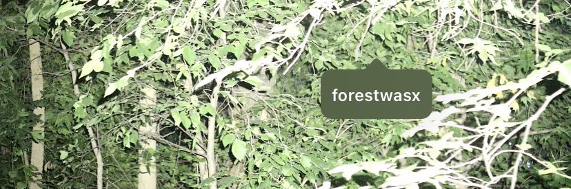 Forest banner