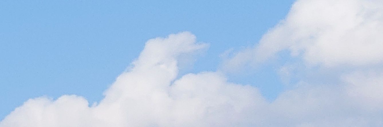 だいずっこ banner