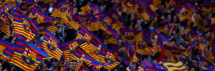 brferrante's profile banner image
