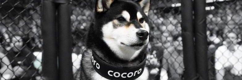 GemFinderCrypto banner