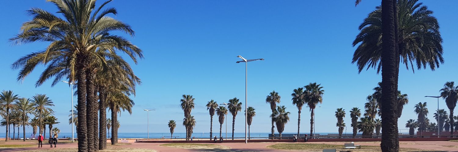 carbonecar's profile banner image
