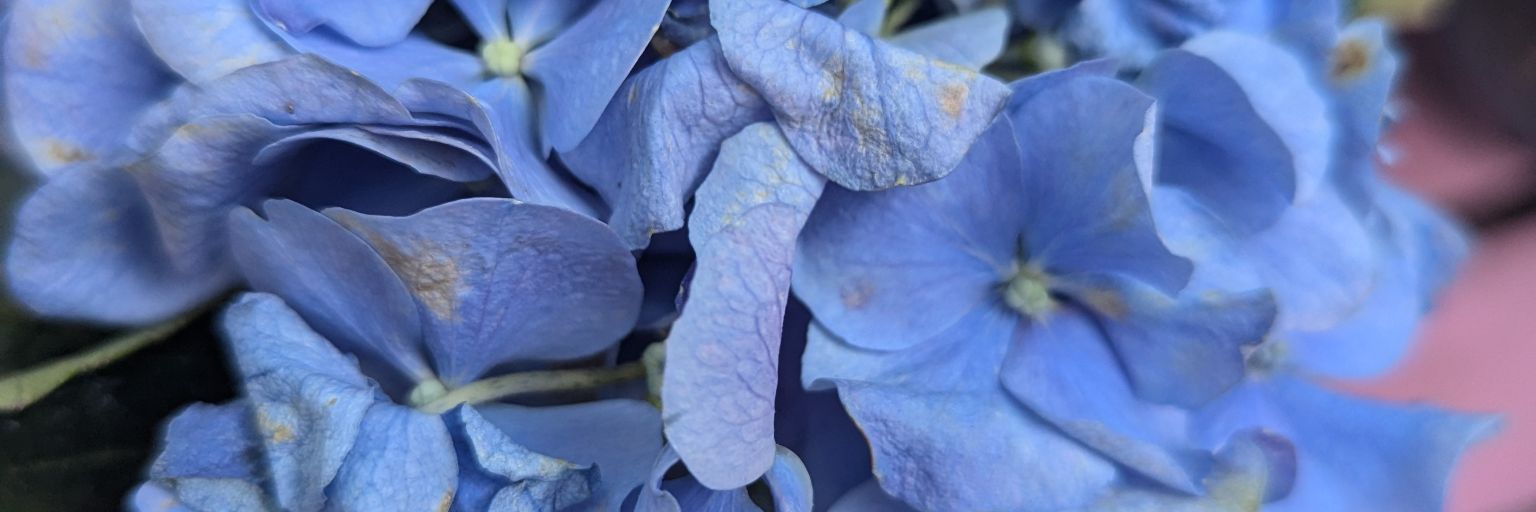 •Blue Sky•ⓒⓛⓒⓜ☁ banner