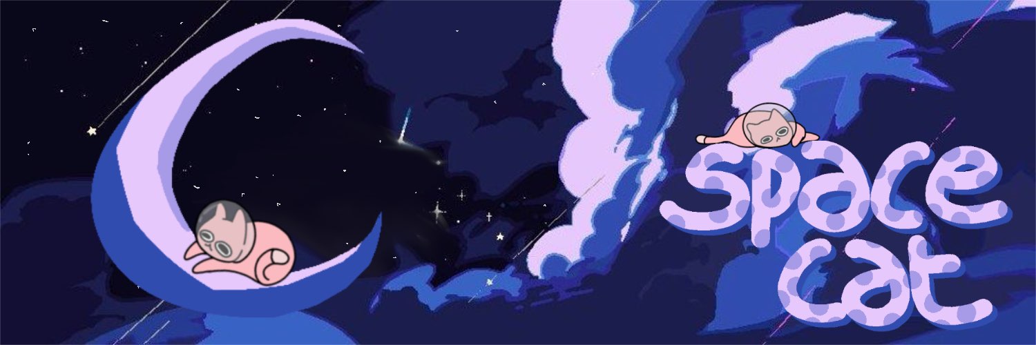 Space cat banner