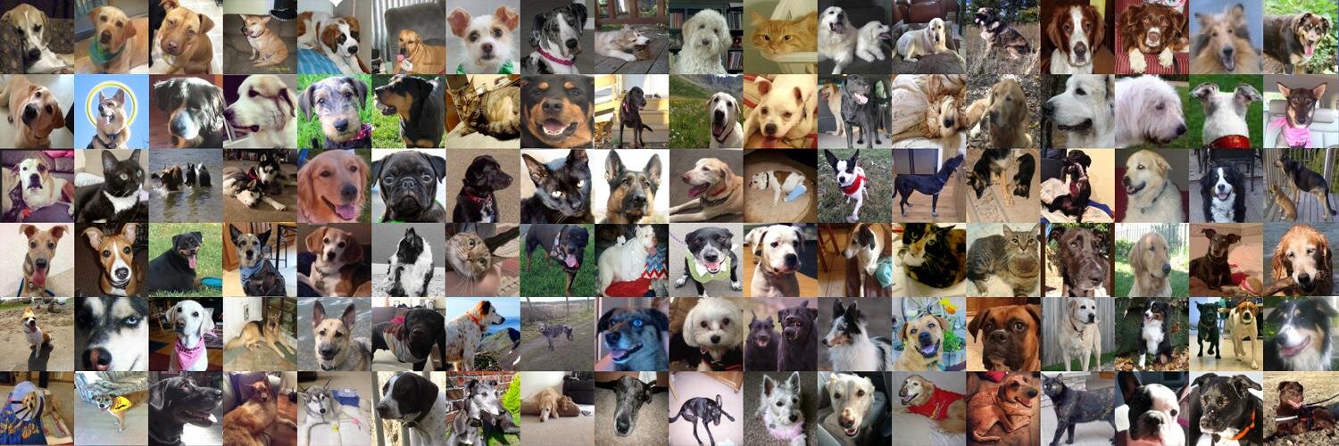 Tripawds's profile banner image