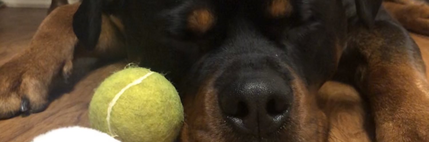 pgizzle312's profile banner image
