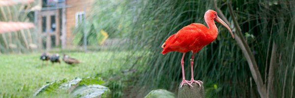 sylvanheights Profile Banner