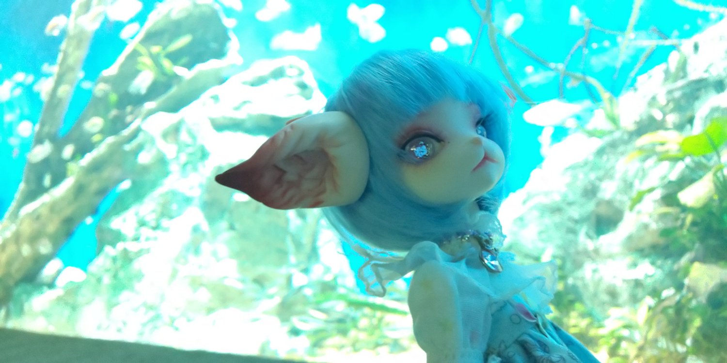 haruka93's profile banner image