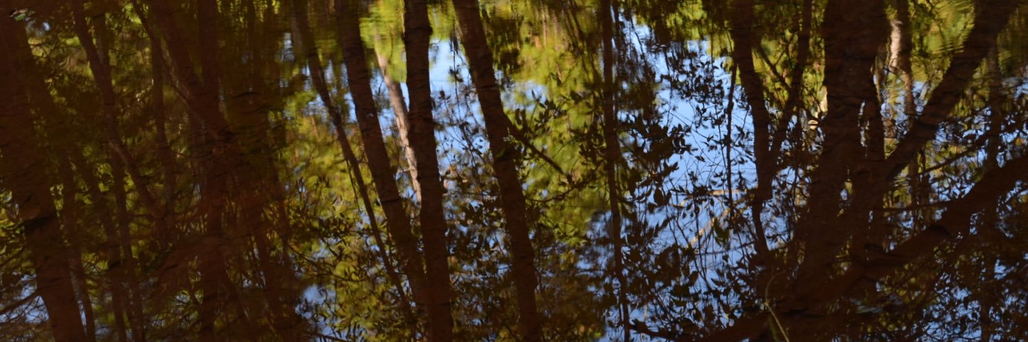 suislinda's profile banner image