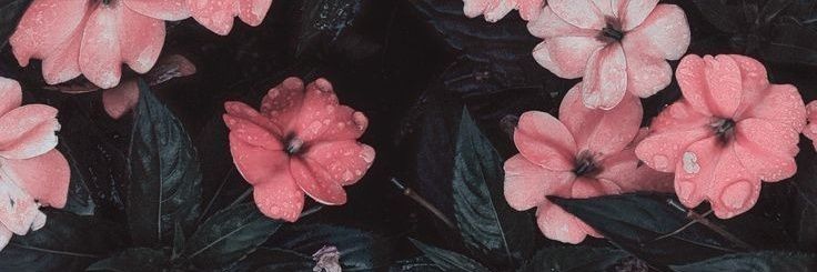 Annie_Orjuela banner