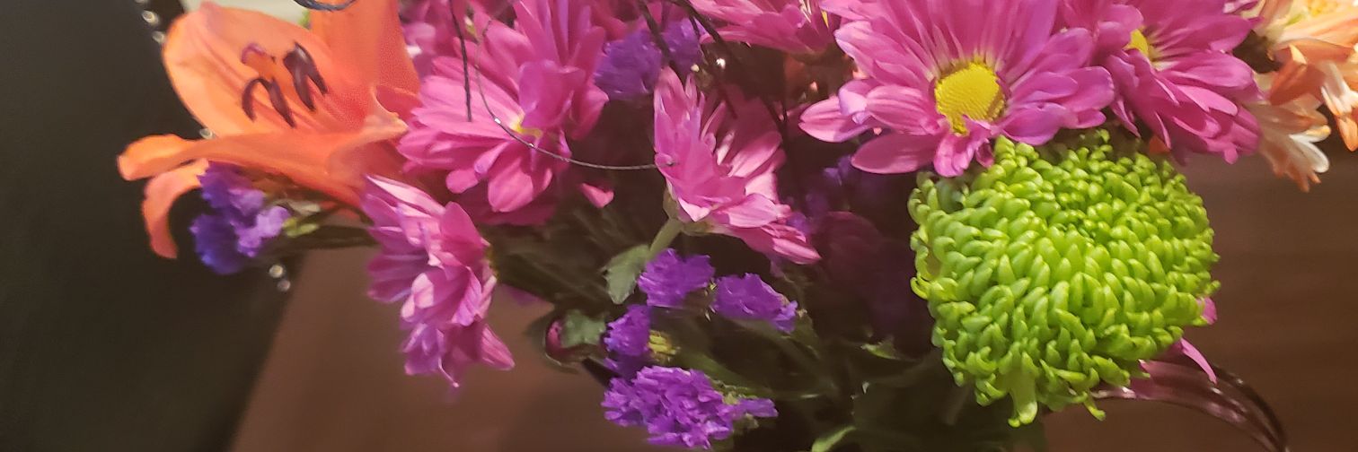 mrsfafo's profile banner image