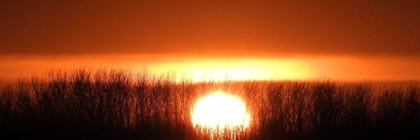 msaraivaf's profile banner image