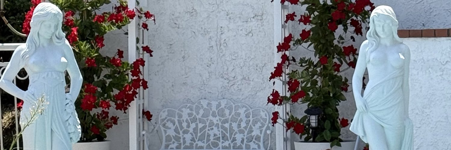 Dara Bella banner