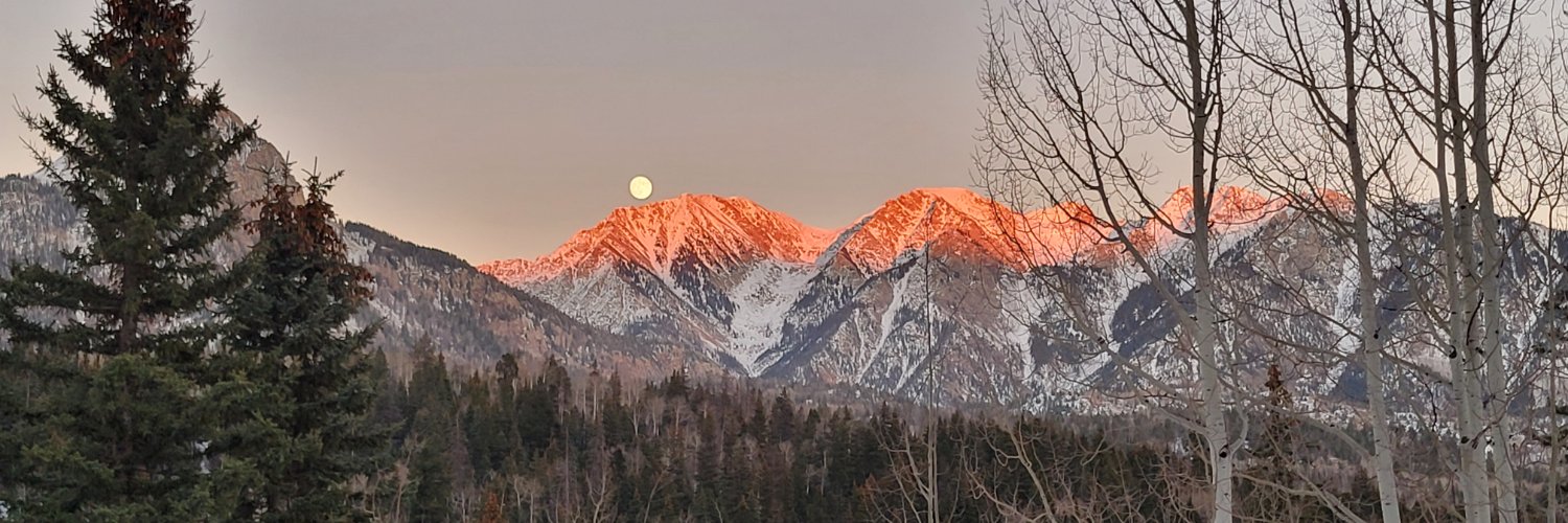 ⚡️Lyn the Dem banner