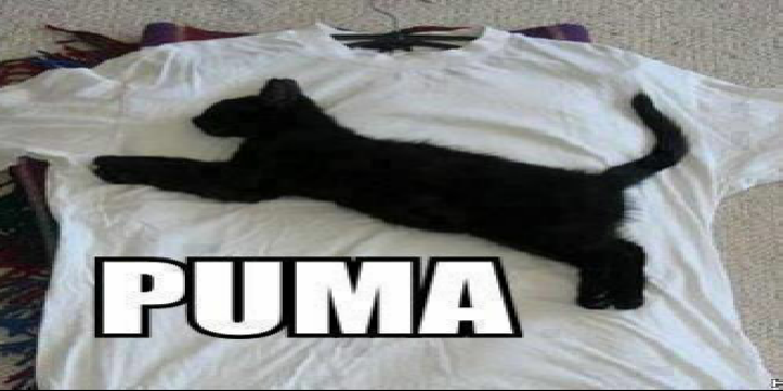 Duran Williams banner