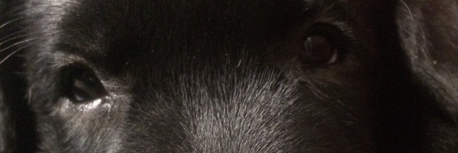 Gregory Wolff banner