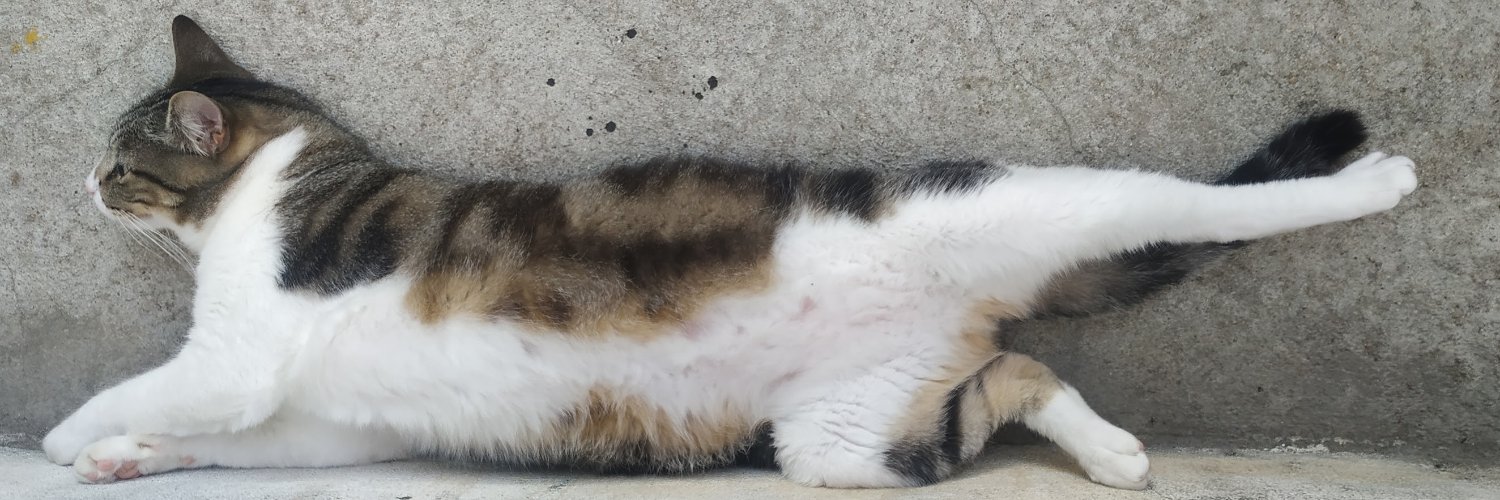 Isabela Almeida banner