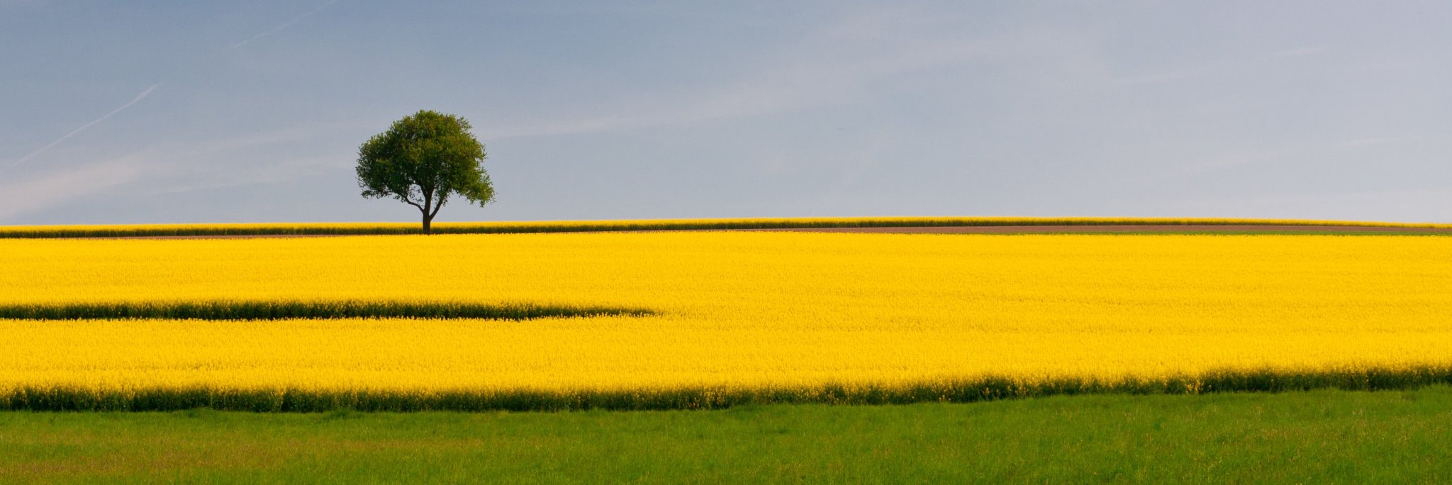 AsgerDaugbjerg's profile banner image