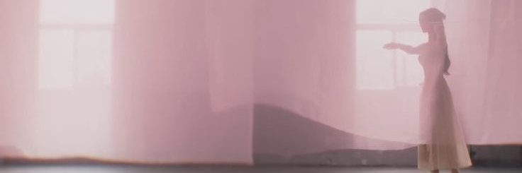 🦢 North 🍋🍋‍🟩 banner