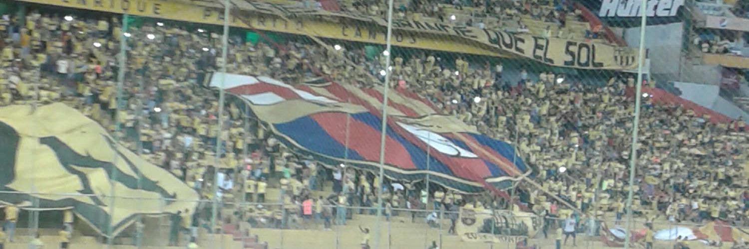 Bia4ever's profile banner image