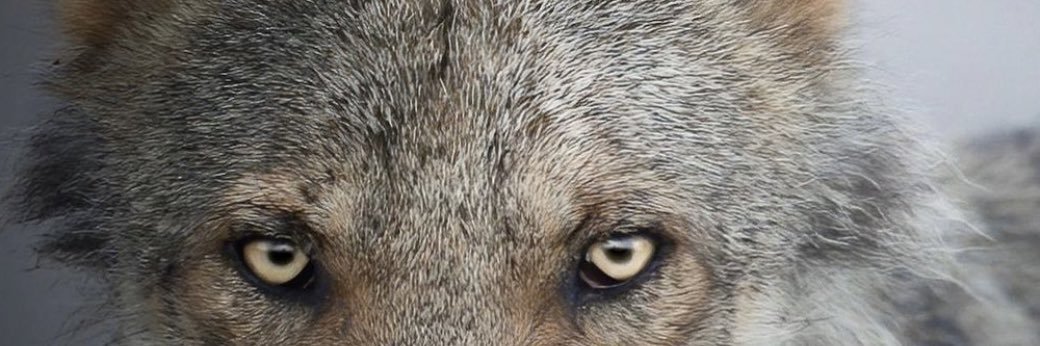 M_FH_8's profile banner image
