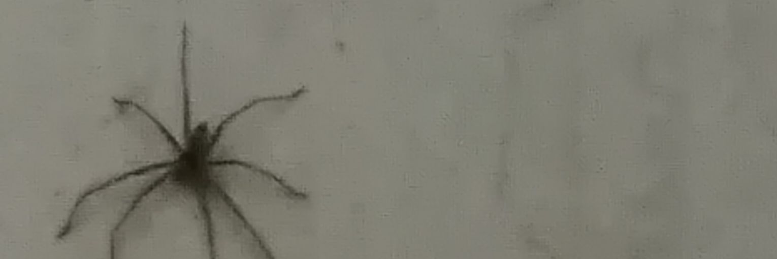 baotramcutivcl's profile banner image