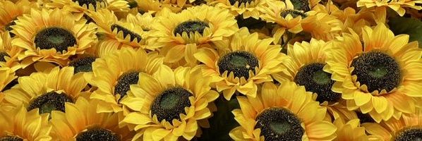 g167586's profile banner image