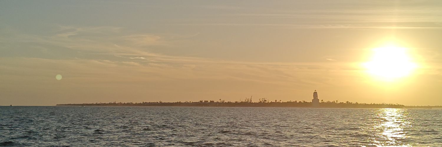 Ludicrous_SpdGo's profile banner image