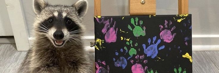 Borislupec's profile banner image