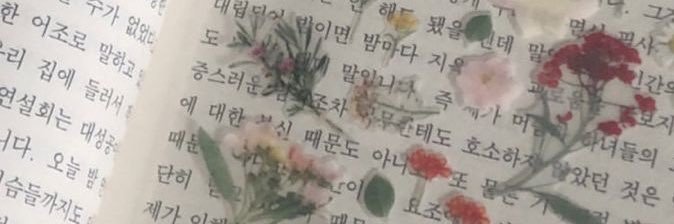 흩날's banner