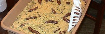 NutteringJ's profile banner image