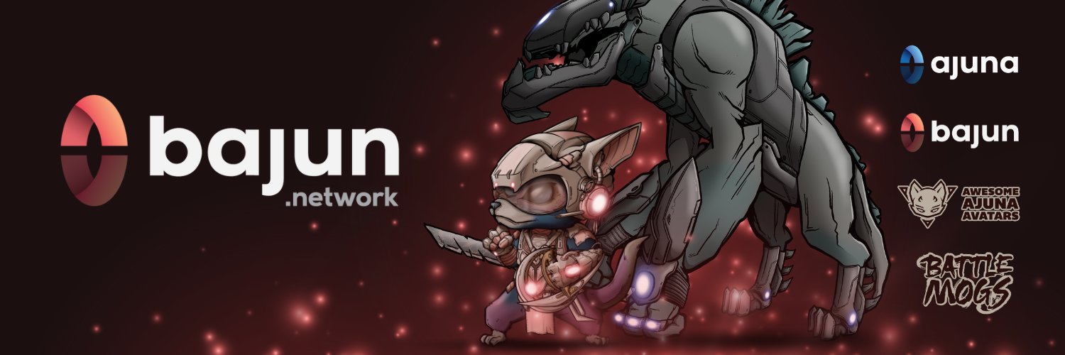 Bajun Network banner