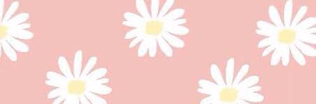 taniayolan's profile banner image