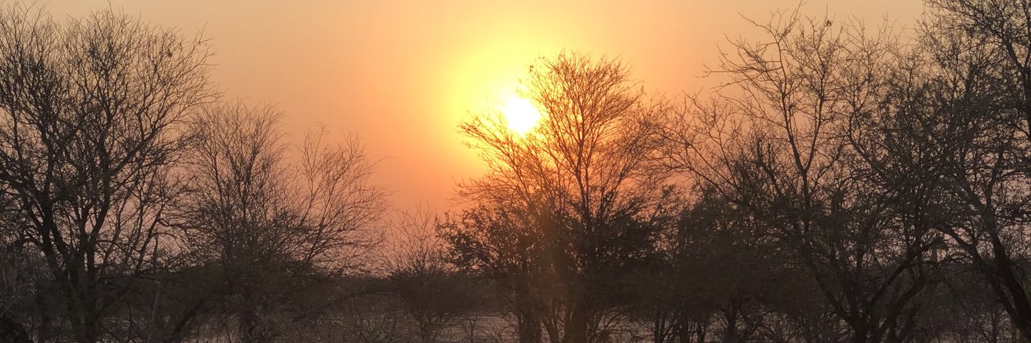 Tkmakhene's profile banner image