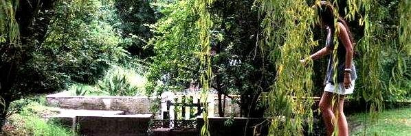 DelfinaZuliani's profile banner image