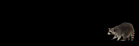 ﹫﹒𝖙𝖍𝖊 𝖋𝖔𝖔𝖑 banner