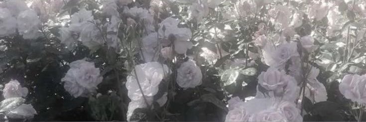 oii_tz's profile banner image