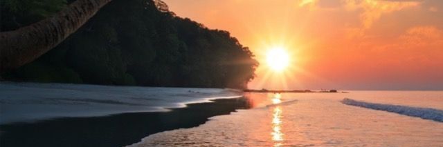 flw.rosee_• banner