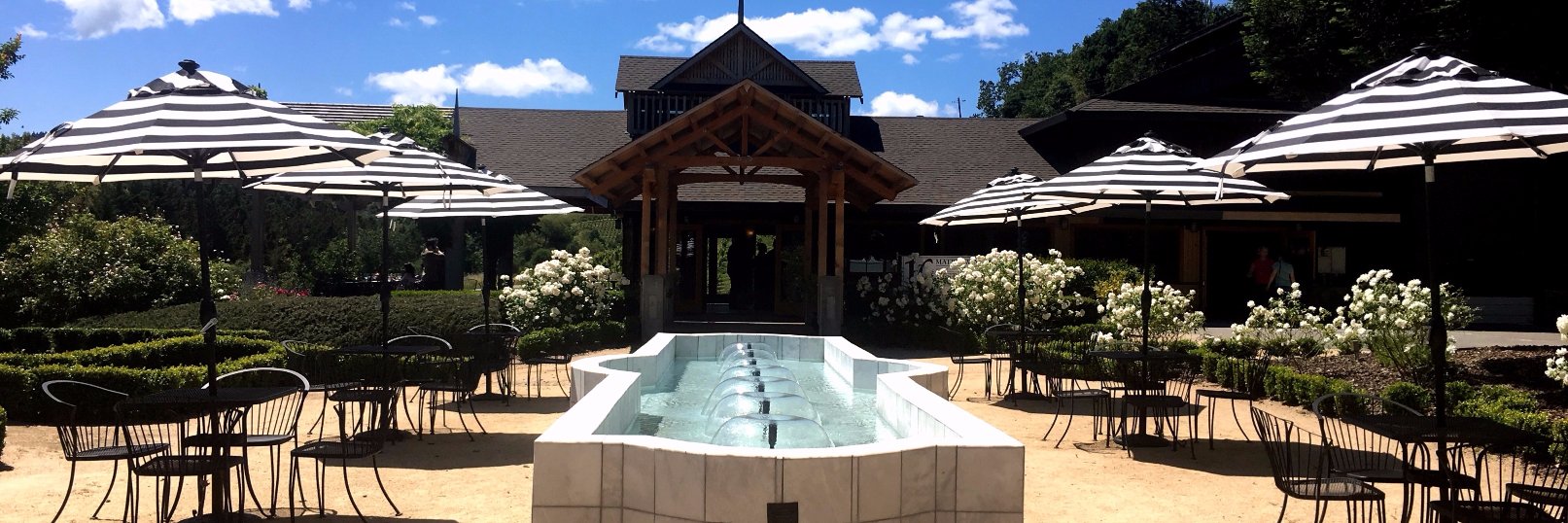 MatrixWinery's profile banner image