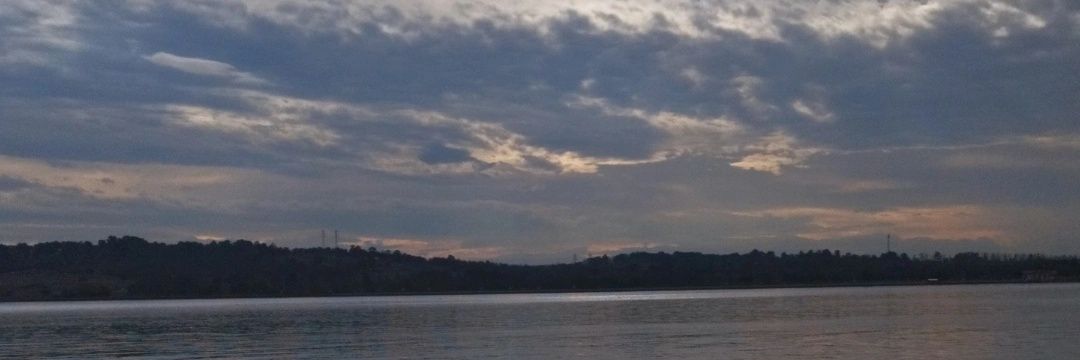 موجیمو 🌼 banner