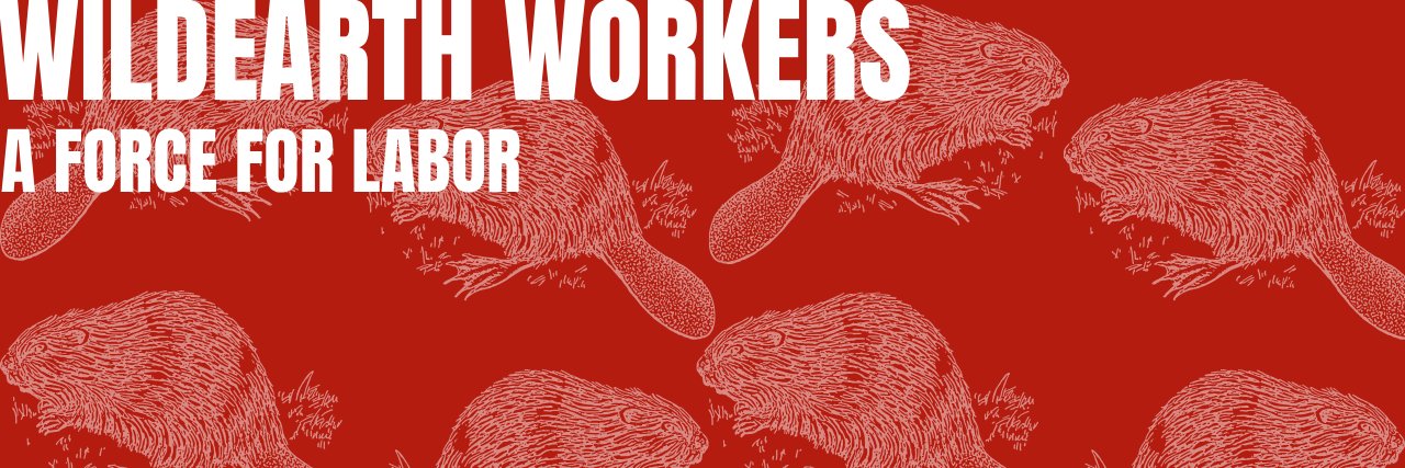 thericandbackagain banner