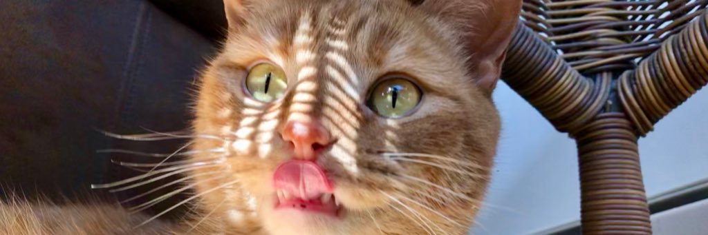 maddyyrussell's profile banner image