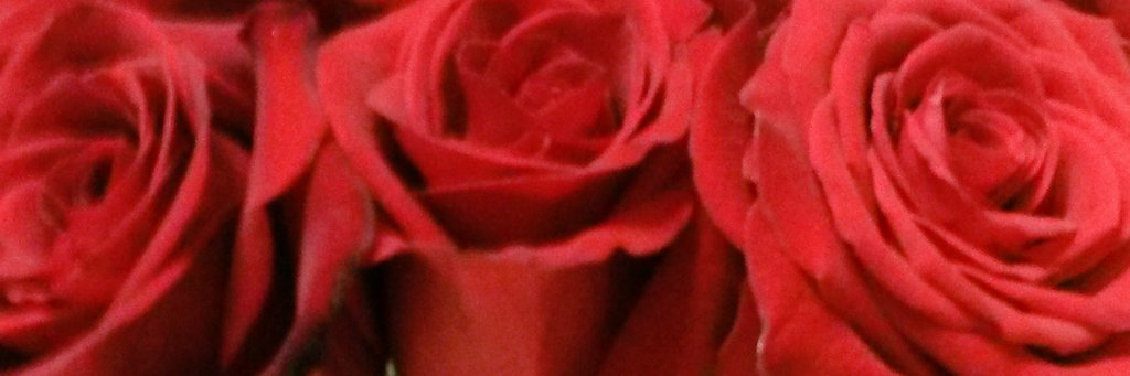 edecoste22's profile banner image