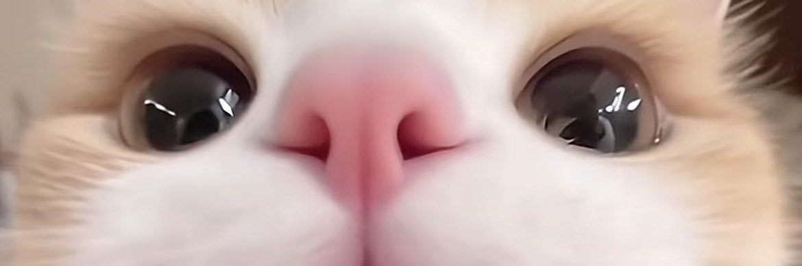 guuuubai's profile banner image