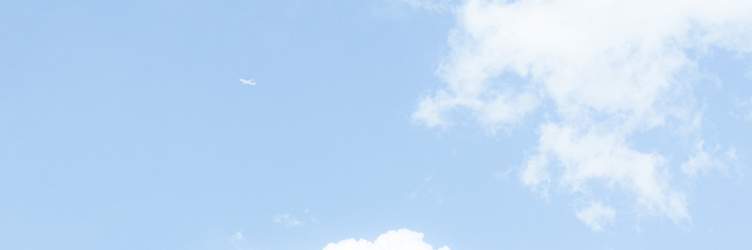 🍋 banner