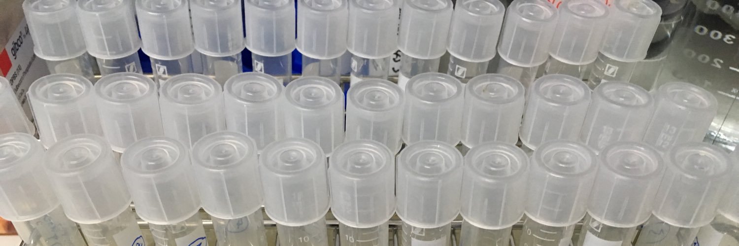 Dr. Rachel Lippert banner