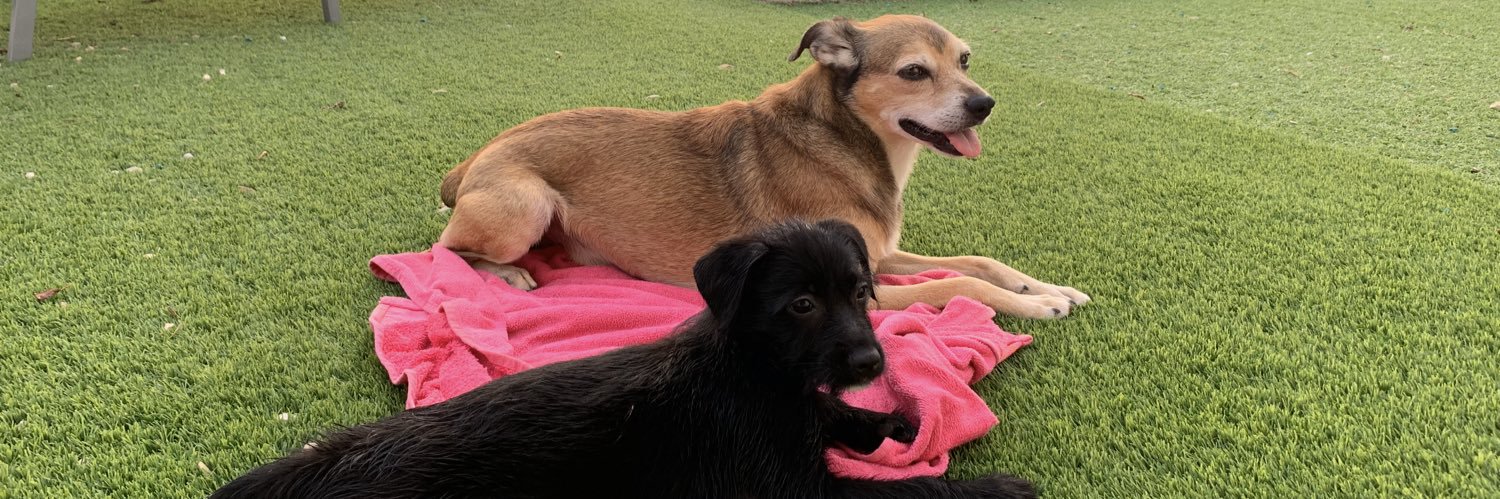 Laura del Val Mollá banner