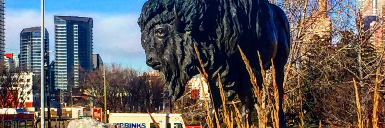 Wisniewski's profile banner image