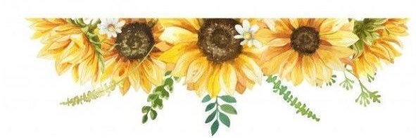 cpneybeatriz96's profile banner image