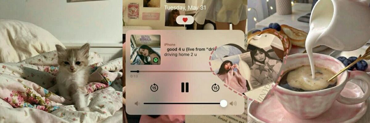 𝓛𝑎𝑐𝑦. banner